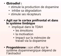 Rôles de l’estradiol et la progestérone